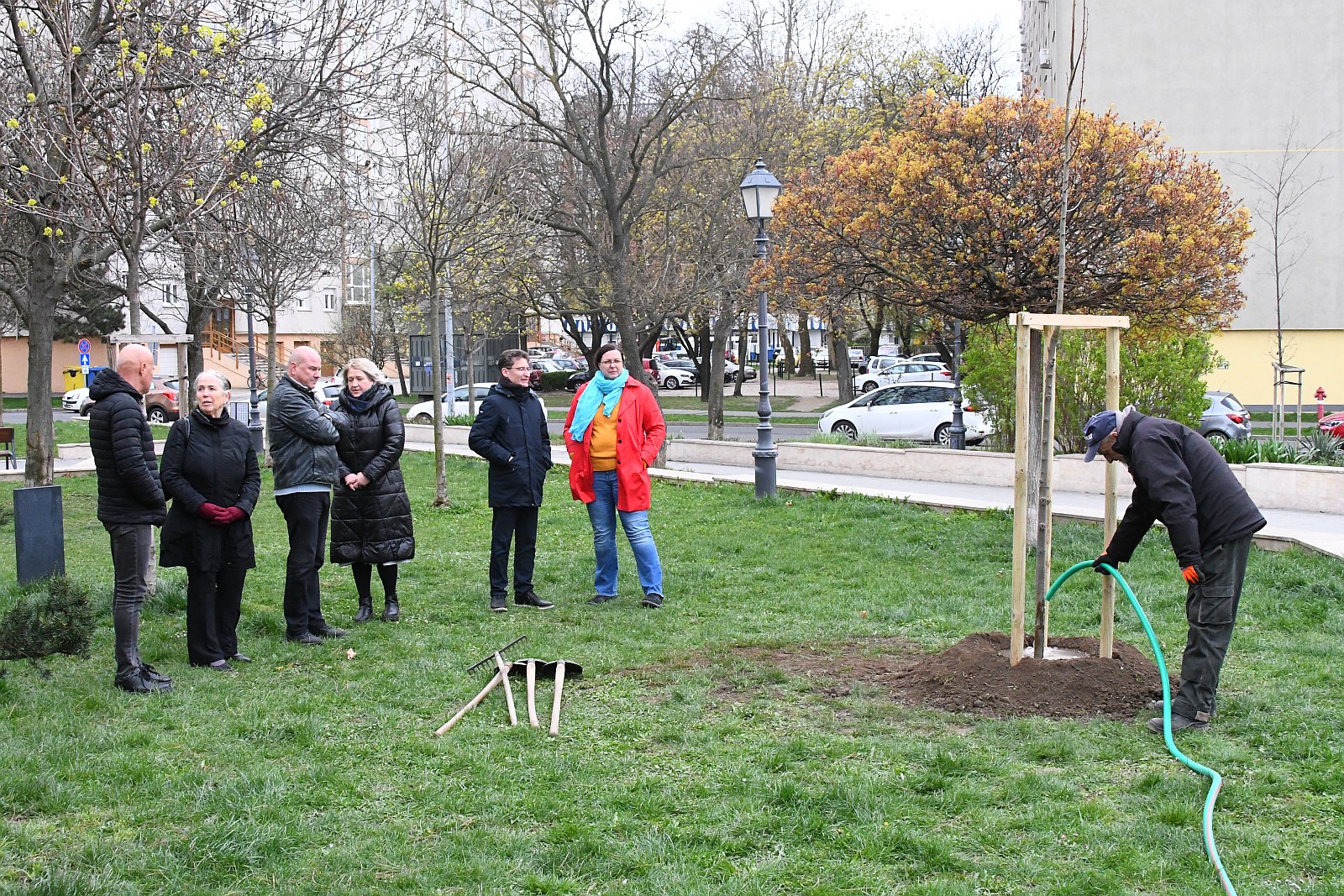 Születés Fája a Jávor Ottó téren - emlék a 2025-ben született babáknak